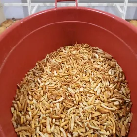 Ишгар герек