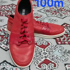 hemesäm gowy we owadan