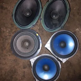 kalonka калонка gapy