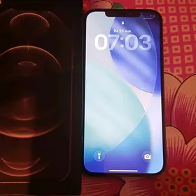 Iphone 12 Pro Max 256GB