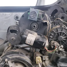 SIENNA GAPY MATORCHIK