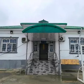 Taze zaman full plan