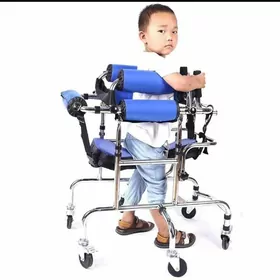 Hodunok Inwalidnyy Dsp