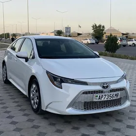 Toyota Corolla 2021