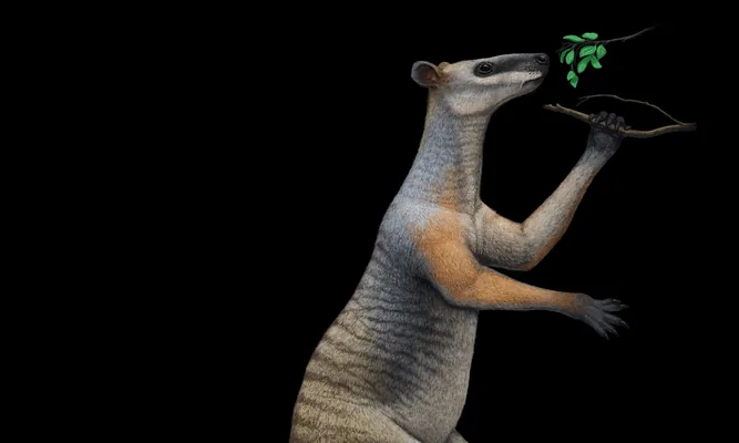 Кенгуру прыгали по Земле еще в доисторические времена, но весили тогда 250 кг