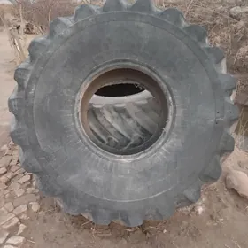 SATLYK ULY TIGIRLER 2SANY