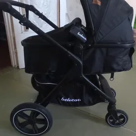 чага каляска