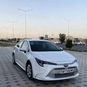 Toyota Corolla 2021