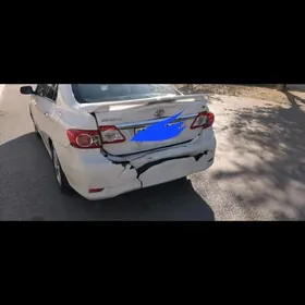 Bagaž Karollo 12 yyl