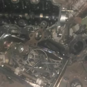 galowka pawuk 3.3 patfindir