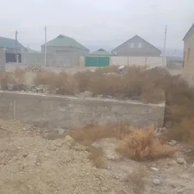 Gokdepe enkewede bos mellek