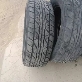 Аяк пакришка без кам