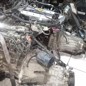 OPEL Amega Mator karopka ✔