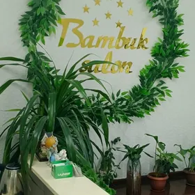 bambuk salon