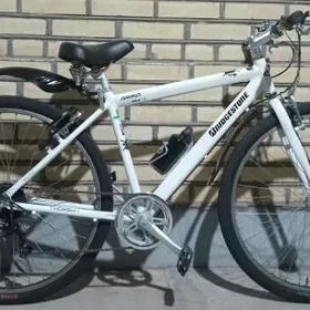 Arginal tigir Japan welsopet