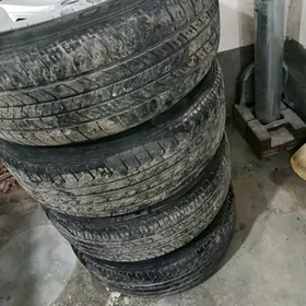 Mary diska pakryşka 16 lyk