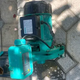 nasos shimge 190 lyk