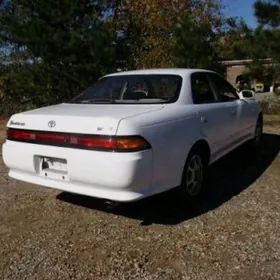 Mark chaser mator morda fara