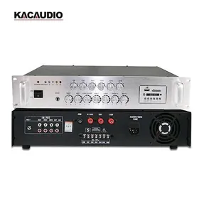 Zona usilitel ler wolt