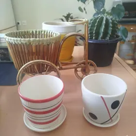 кротон,аглонема,горшки,кашпо.