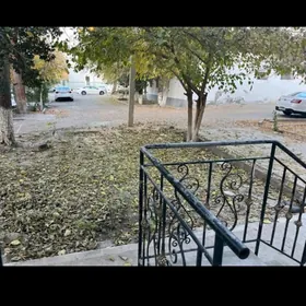 Satlyk Arzan Amatly/ Высокие