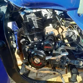 Fekon FK200-14G 2024