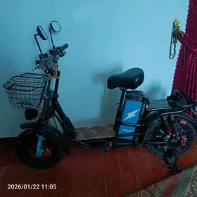 Welsepet Elekrto motor