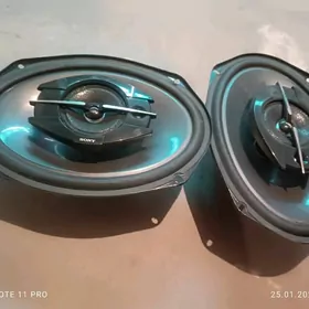 sony orginal we cehol