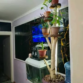 полки для цветов