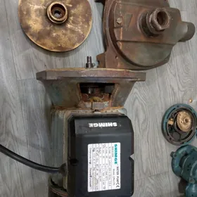 шимга насос 170