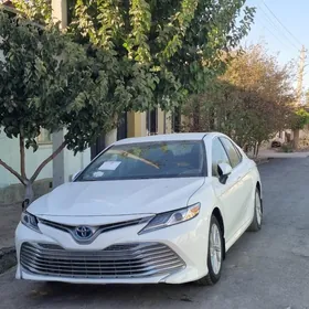 Toyota Camry 2020