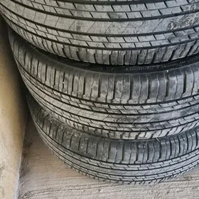 pakriska bristone 20 lik