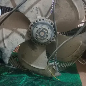 халаделник маразылка