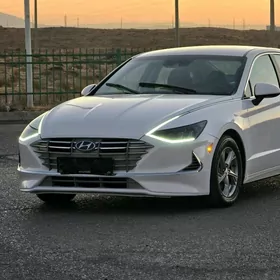 Waditel водитель