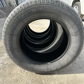 Haylander highlander teker