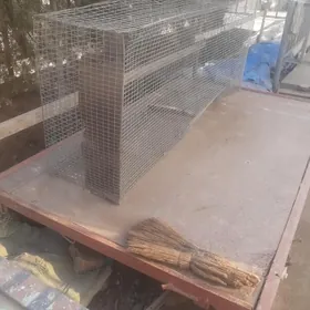 товук жужа клетка