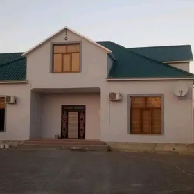 Ammar sklat ucin arenda