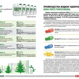 Iňňe agaçlar we gazonlar üçin NPK dökünleri