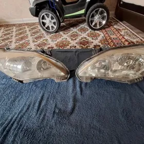 2013 fara morda arginal