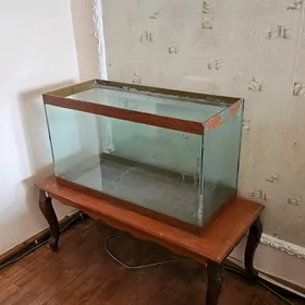 Аквариум средний