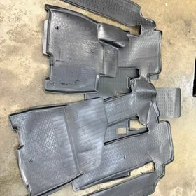 carnival ryzyn kowrik