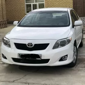 Toyota Corolla 2010