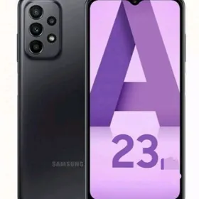 a23