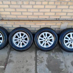 carina e carona awensis disga