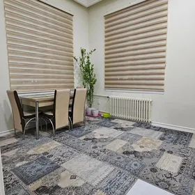 Podwoyski 3 kom Turkmen atlary