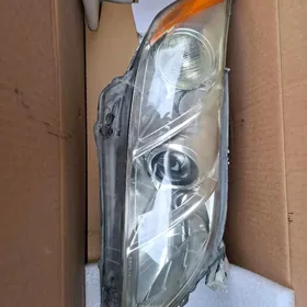 fara okuz kelle 2008