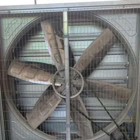 fan weltelyator howalanyrma