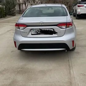 Toyota Corolla 2021