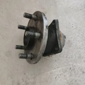 stupitsa 18 carollanky