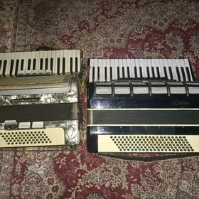 аккордеон
